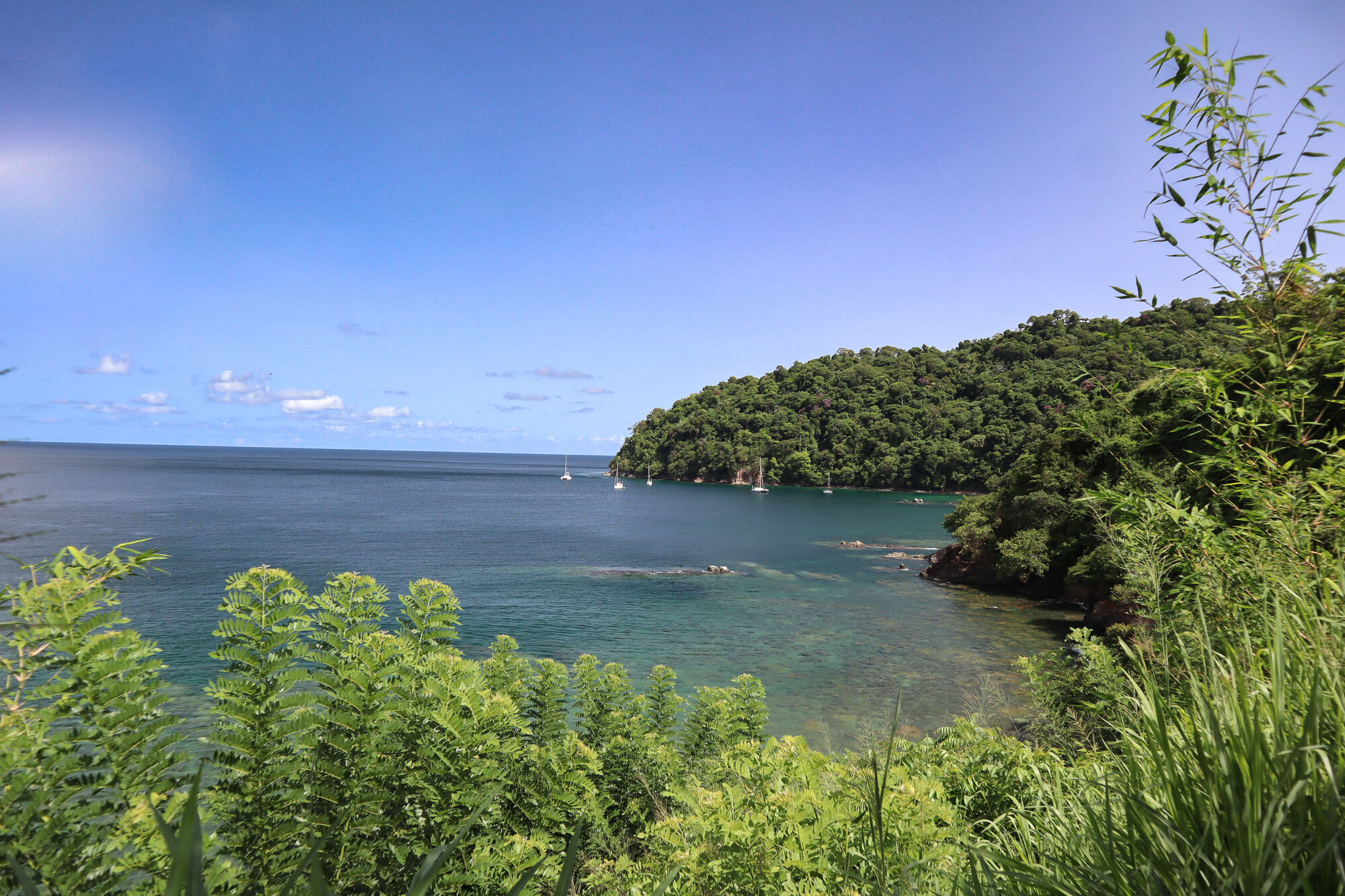 Man-o-War Bay with forested hills and turquoise water